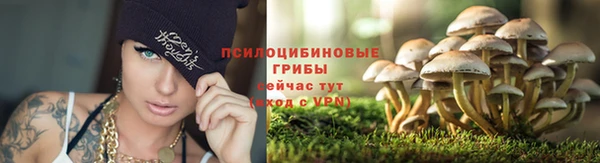 бутират Балабаново